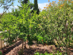 Apartmenthaus Karlobag Karlobag