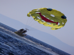 Apartmenthaus i sobe Danica Podaca