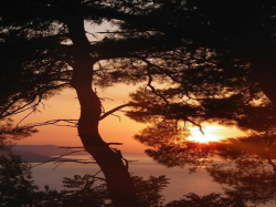 Apartmenthaus i sobe Danica Podaca