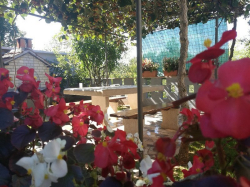 Apartmenthaus M&M Zminj