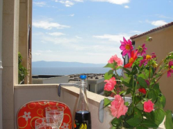 Apartments Apartmani Ivanka Podgora